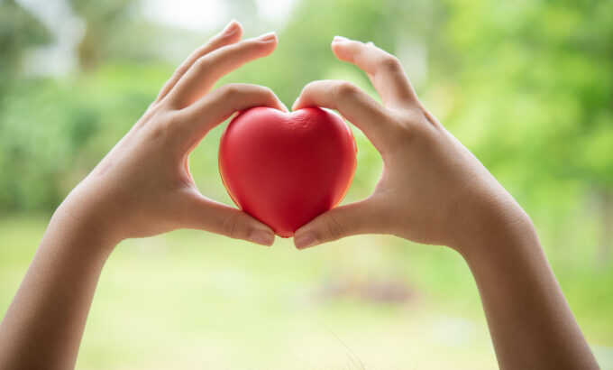 Two hands of child holding a red of rubber heart with green grass background. Showed the coordination, collaboration of business or requires sacrifice, attention, unity, charity, care or love of human